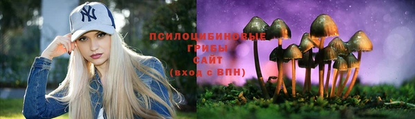 a pvp Пересвет