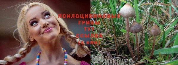 винт Алексеевка