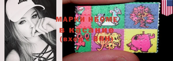 крисы Алзамай