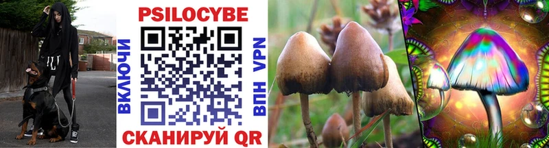 Галлюциногенные грибы мицелий  Спасск 